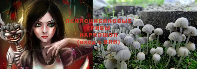 Псилоцибиновые грибы MAGIC MUSHROOMS  Аркадак 